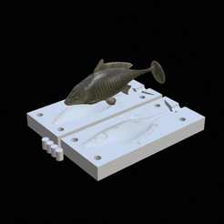 carp-kopyto-2.gif STL file detailed carp fish 12cm hoof form for predator fishing・3D printable design to download, ARTMAN