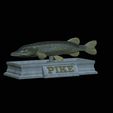 Base-pike.gif fish Northern pike / Esox lucius statue detailed texture for 3d printing