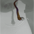 20220205_215619.gif ARTICULATED ROBOT SNAKE MALE print-in-place