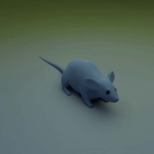 🐁 Mouse・ STL File for ・Cults