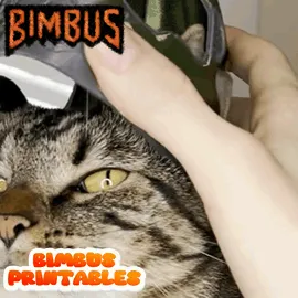 Untitled-video-Made-with-Clipchamp-33.gif Doom Slayer Cat Helmet