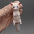 InShot_20231029_193811819-1.gif Cat Flexi Keychain (PRINT-IN-PLACE)