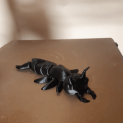 20231202_125038.gif Flexi Earwig - Pincher Bug - Insect - Print in place - Support Free