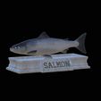 Salmon-statue-4.gif Atlantic salmon / salmo salar / losos obecný fish statue detailed texture for 3d printing