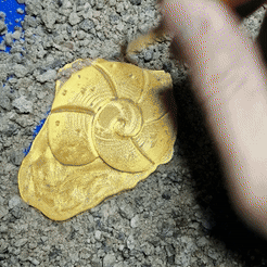 lv_0_20230504093148_1.gif Fichier STL Fossile d'hélix - Pokemon・Design pour impression 3D à télécharger