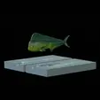 mahi-mahi-mode-baits.gif AM bait fish mahi mahi / common dolphin 16cm breaking form for predator fishing