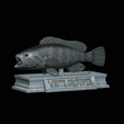 White-grouper-open-mouth-statue-4.gif fish white grouper / Epinephelus aeneus open mouth statue detailed texture for 3d printing
