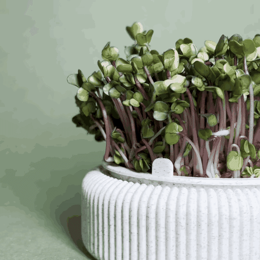 3D-Printed Microgreens Growing Kit – Self-Watering, Stackable Indoor Garden System (STL Files)