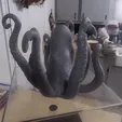 Gif-AOctou.gif Octopus mug holder