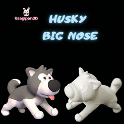Cod390-Husky-Big-Nose.gif Husky à gros nez