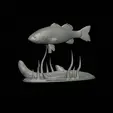 bass-na-podstavci-5.gif bass 2.0 underwater statue detailed texture for 3d printing