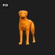 314-Boxer_Pose_02.gif Boxer Dog 3D Print Model Pose 02