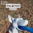 Leash-GIF-downsized_large.gif STL file Dog Poop Dispenser・Design to download and 3D print, PrintThatThing