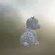 1-online-video-cutter.com-1.gif West Highland white terrier