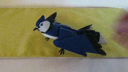 Untitled-video-Made-with-Clipchamp-29.gif Flexi Blue Jay