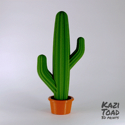 mini_cactus_gif.gif STL file Mini Cactus set・3D printing template to download, KaziToad