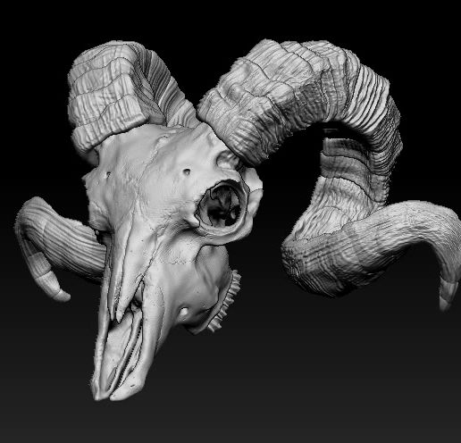 rammy.gif Ram Skull