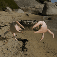 crab-ad3.gif Краб