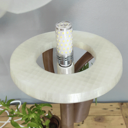 3.gif Lampe et support à succulentes, lamp and holder,