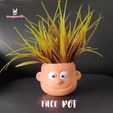 Face-Pot-Gif.gif 3D file Face Pot・Template to download and 3D print