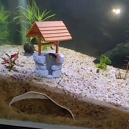 CUEVA-PARA-PECERA-STL.mp4 AQUARIUM CAVE IN THE FORM OF A WATER WELL / WITH CIRCULATION AND OXYGENATION SYSTEM