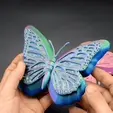2.gif Fichier STL Boîte à bijoux en forme de papillon・Plan pour impression 3D à télécharger