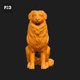 067-Australian_Shepherd_Dog_Pose_04.gif Australian Shepherd Dog 3D Print Model Pose 04