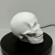 ezgif-1-802923ed3c.gif Human Skull