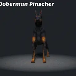 Doberman-Pinscher.gif Doberman Pinscher - DOG BREED - Canine -3D PRINT MODEL