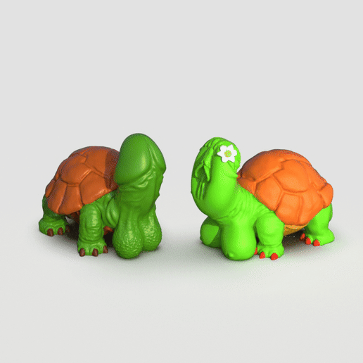 Dicky & Pussy Turtles 🐢🐢🌼 - 3D model önizlemesi