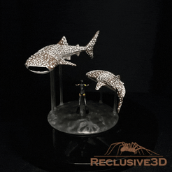whaleSharkDiorama_gif.gif 3D file Whale Shark Dioramra・Design to download and 3D print