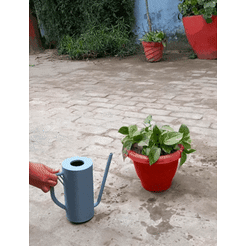 20230122_134328.gif STL file WATERING CAN・3D printer model to download