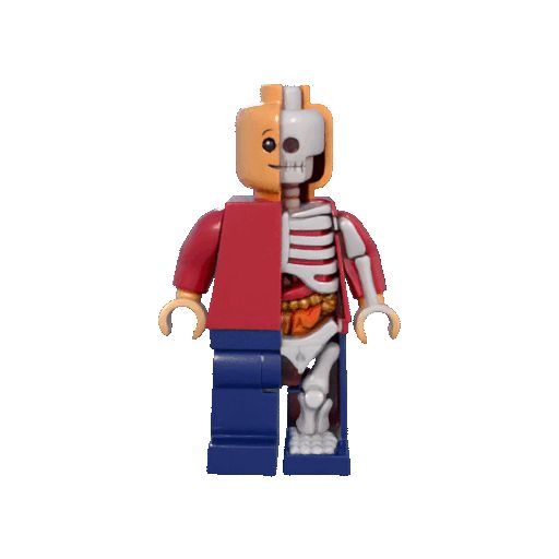 👨 LEGO Man - XXRAY Dissection Series (Figura imprimible en 3D de una ...