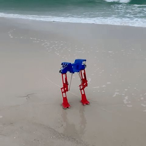 PDRW.gif ROBOT ANDADOR DINÁMICO PASIVO XTI