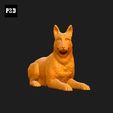 216-Belgian_Shepherd_Dog_Malinois_Pose_09.gif Belgian Shepherd Dog Malinois Dog 3D Print Model Pose 09