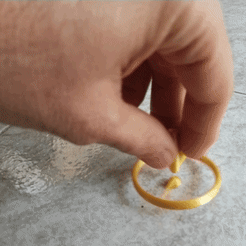 20200401_173115.gif Файл STL Birillo・Дизайн 3D принтера для загрузки