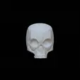 IMG_0684.gif Deadpool skull