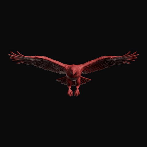 Flying White-tailed Eagle