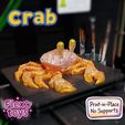 crab.mp4 Flexi Crab – Print-in-Place Sea Toy