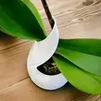 LEAF_Orchid-planter.gif LEAF  |  Orchid Vase Planter, fast-print