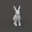 Hare-Figurine.gif Hare Figurine
