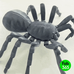 Tarantula_01.gif Datei 3D Tarantel Spinne・Modell für 3D-Druck zum herunterladen