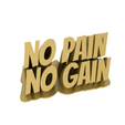 no-pain.gif No Pain No Gain - Motivation quotes