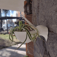 CIGUEÑA.gif Pelican Shaped Planter: Give Flight to your Plants #PLANTERSXCULTS