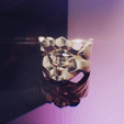 Comp 1_2.gif Lion ring