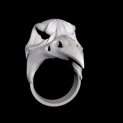 tbrender.gif STL file RAVEN RING・3D print design to download