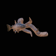 pstruh-4.gif rainbow trout underwater statue on the wall detailed texture for 3d printing