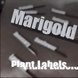 Marigold.gif 3D Printable Marigold Plant Tag – Bright Multi-Color & STL for Flower Gardens