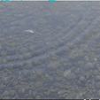 1645997695893.gif Zander/walleye çok eklemli swimbait olta yemi