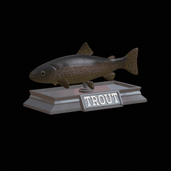 Trout-model.gif Fichier STL statue de poisson truite texture détaillée pour impression 3d・Design imprimable en 3D à télécharger